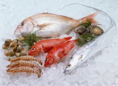 滨海新区迎来秋季鱼汛 海鲜市场价格约降三成