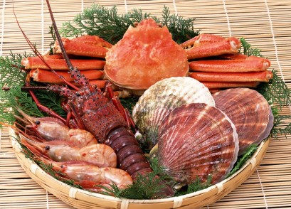 海鲜食材;海鲜食材知识全攻略(5)