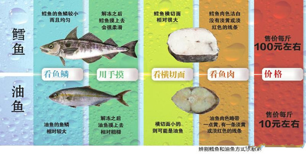 如何鉴别鳕鱼和油鱼？