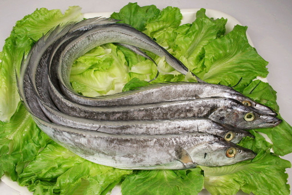 常见海鲜的营养成分(2)