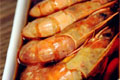 红烧啤酒虾的简单做法_红烧啤酒虾怎么做最好吃？