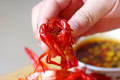 清蒸小龙虾的简单做法_清蒸小龙虾怎么做最好吃？