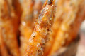 滋味串串虾的简单做法_滋味串串虾怎么做最好吃？