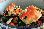雪菜年糕炒螃蟹的简单做法_雪菜年糕炒螃蟹怎么做最好吃？