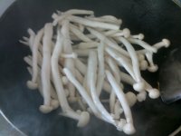 彩椒蚝油海鲜菇怎么做好吃_彩椒蚝油海鲜菇的做法