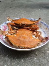 清蒸海蟹怎么做好吃_清蒸海蟹的做法