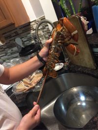姜葱大龙虾怎么做好吃_姜葱大龙虾的做法
