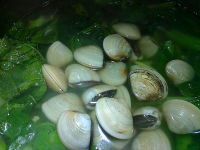 蛤蜊芥菜汤怎么做好吃_蛤蜊芥菜汤的做法
