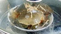 螃蟹蒸粉丝怎么做好吃_螃蟹蒸粉丝的做法