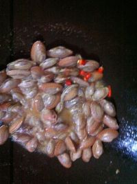 九层塔炒蛤蜊怎么做好吃_九层塔炒蛤蜊的做法
