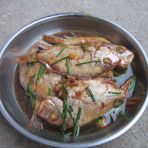 葱香烧海鱼怎么做好吃_葱香烧海鱼的做法