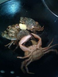 清煮螃蟹怎么做好吃_家常清煮螃蟹的做法