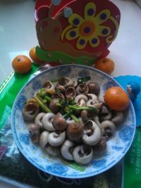 韭菜炒油香螺怎么做好吃_家常韭菜炒油香螺的做法