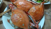 清蒸梭子蟹怎么做好吃_家常清蒸梭子蟹的做法